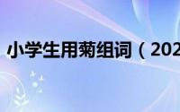 小学生用菊组词（2024年05月01日菊组词）