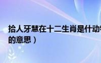 拾人牙慧在十二生肖是什动物（2024年05月02日拾人牙慧的意思）