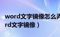 word文字镜像怎么弄（2024年05月02日word文字镜像）