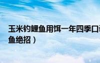 玉米钓鲤鱼用饵一年四季口诀（2024年05月02日玉米钓鲤鱼绝招）