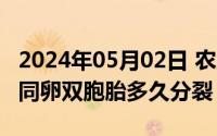 2024年05月02日 农历是（2024年05月02日同卵双胞胎多久分裂）