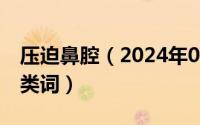 压迫鼻腔（2024年05月02日157鼻腔压声另类词）