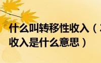 什么叫转移性收入（2024年05月03日转移性收入是什么意思）