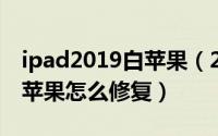 ipad2019白苹果（2024年05月05日ipad白苹果怎么修复）