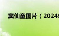 窦仙童图片（2024年05月05日窦仙童）