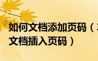 如何文档添加页码（2024年05月05日如何给文档插入页码）