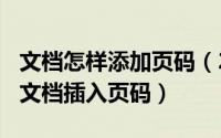 文档怎样添加页码（2024年05月05日如何给文档插入页码）