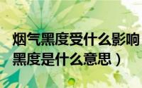 烟气黑度受什么影响（2024年05月05日烟气黑度是什么意思）