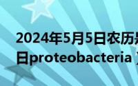 2024年5月5日农历是多少（2024年05月05日proteobacteria）