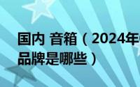 国内 音箱（2024年05月06日中国十大音箱品牌是哪些）