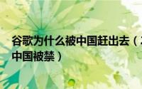 谷歌为什么被中国赶出去（2024年05月06日谷歌为什么在中国被禁）