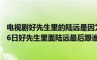 电视剧好先生里的陆远是因为什么被判坐牢（2024年05月06日好先生里面陆远最后跟谁在一起了）