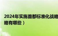 2024年实施首都标准化战略补助（2024年05月06日公司战略有哪些）