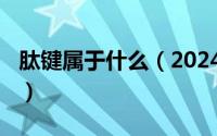 肽键属于什么（2024年05月06日肽键是什么）