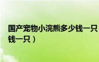 国产宠物小浣熊多少钱一只（2024年05月07日小浣熊多少钱一只）