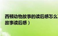 西顿动物故事的读后感怎么写（2024年05月08日西顿动物故事读后感）