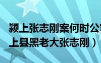 颍上张志刚案何时公审（2024年05月08日颍上县黑老大张志刚）