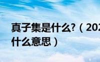 真子集是什么?（2024年05月09日真子集是什么意思）