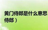 黄门侍郎是什么意思（2024年05月09日黄门侍郎）