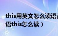 this用英文怎么读语音（2024年05月09日英语this怎么读）