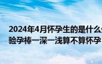 2024年4月怀孕生的是什么生肖到宝宝（2024年05月09日验孕棒一深一浅算不算怀孕）