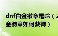 dnf白金徽章是啥（2024年05月09日DNF白金徽章如何获得）