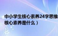 中小学生核心素养24字思维导图（2024年05月09日中小学核心素养是什么）