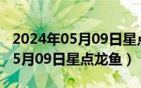 2024年05月09日星点龙鱼好不好（2024年05月09日星点龙鱼）