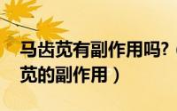 马齿苋有副作用吗?（2024年05月09日马齿苋的副作用）