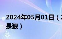 2024年05月01日（2024年05月09日弟弟都是狼）