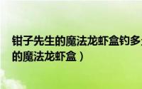 钳子先生的魔法龙虾盒钓多久（2024年05月09日钳子先生的魔法龙虾盒）