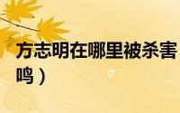 方志明在哪里被杀害（2024年05月10日方志鸣）