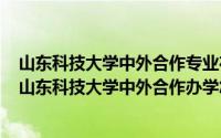 山东科技大学中外合作专业在哪个校区（2024年05月10日山东科技大学中外合作办学怎么样）