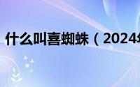 什么叫喜蜘蛛（2024年05月10日喜蛛有毒）