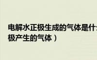 电解水正极生成的气体是什么（2024年05月11日电解水正极产生的气体）