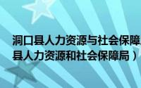 洞口县人力资源与社会保障局官网（2024年05月11日洞口县人力资源和社会保障局）