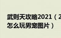 武则天攻略2021（2024年05月11日武则天怎么玩男宠图片）