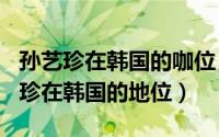 孙艺珍在韩国的咖位（2024年05月12日孙艺珍在韩国的地位）