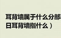 耳背墙属于什么分部和分项（2024年05月12日耳背墙指什么）