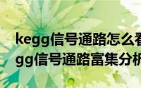 kegg信号通路怎么看（2024年05月13日kegg信号通路富集分析）