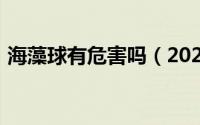 海藻球有危害吗（2024年05月13日海藻球）