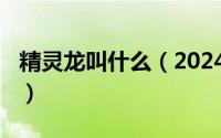 精灵龙叫什么（2024年05月13日精灵的幼龙）