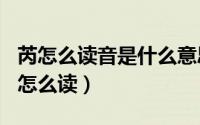 芮怎么读音是什么意思（2024年05月14日芮怎么读）