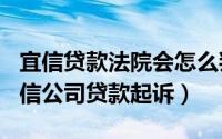 宜信贷款法院会怎么判（2024年05月14日宜信公司贷款起诉）