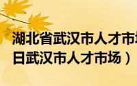 湖北省武汉市人才市场电话（2024年05月14日武汉市人才市场）