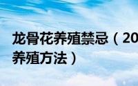 龙骨花养殖禁忌（2024年05月15日龙骨花的养殖方法）