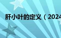 肝小叶的定义（2024年05月16日肝小叶）