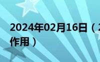 2024年02月16日（2024年05月16日标题的作用）