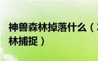 神兽森林掉落什么（2024年05月16日神兽森林捕捉）