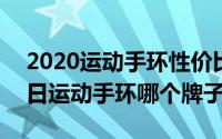 2020运动手环性价比排行（2024年05月16日运动手环哪个牌子好）